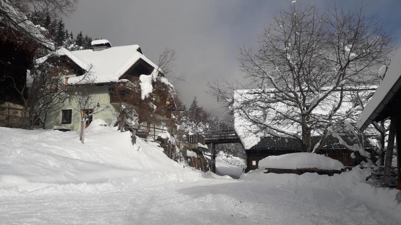 Apartments Berghof Familie Steinwender Pölling エクステリア 写真