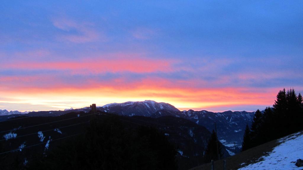 Apartments Berghof Familie Steinwender Pölling 部屋 写真