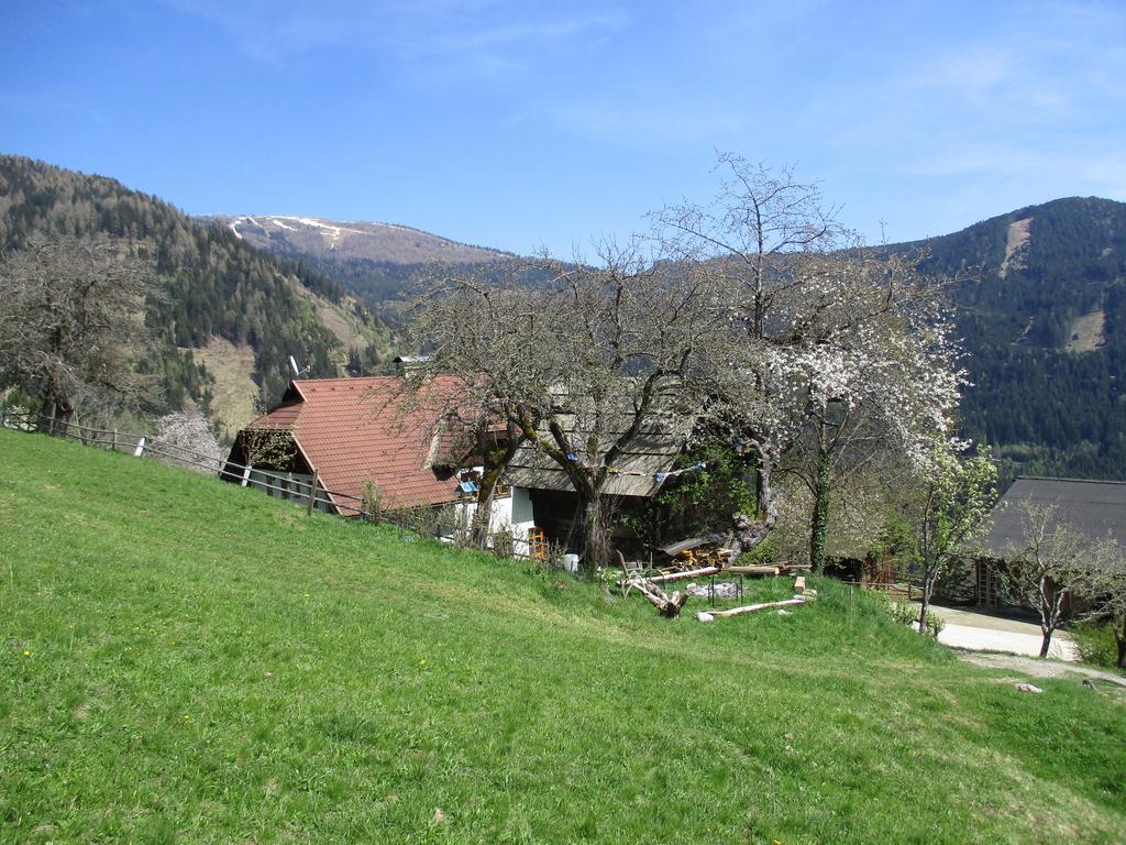 Apartments Berghof Familie Steinwender Pölling エクステリア 写真