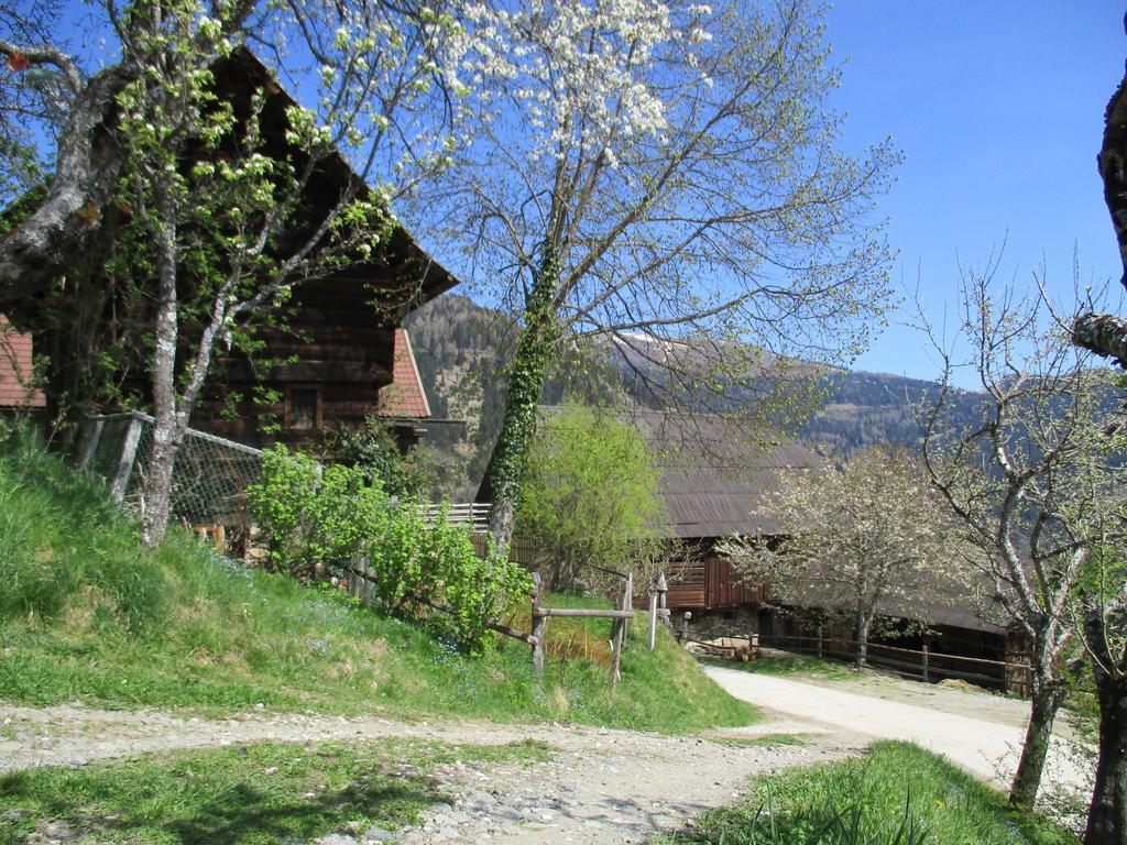 Apartments Berghof Familie Steinwender Pölling エクステリア 写真