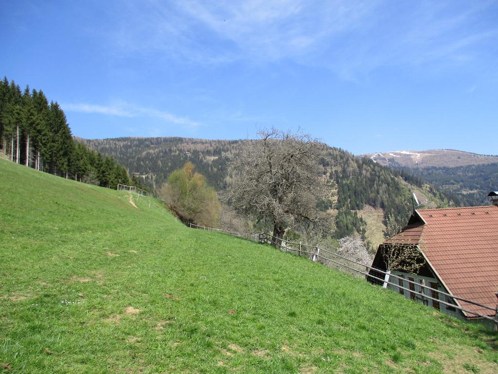 Apartments Berghof Familie Steinwender Pölling エクステリア 写真